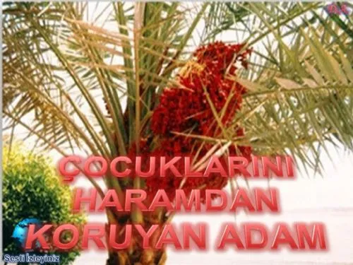 Çocuklarını Haramdan Koruyan Adam kapak görseli
