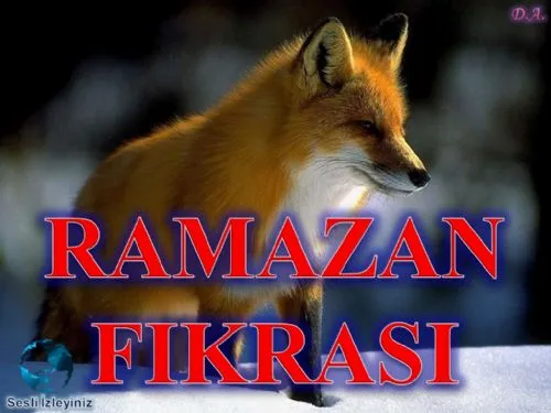 Ramazan Fıkrası kapak görseli