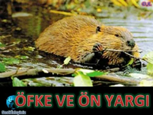Öfke ve Ön Yargı kapak görseli