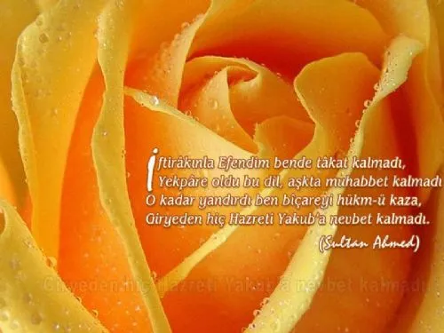 KUTLU DOĞUM SUNUSU (Mehmet Halit AKDEMİR'den)