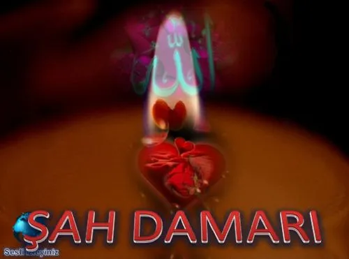 Şah Damarı kapak görseli