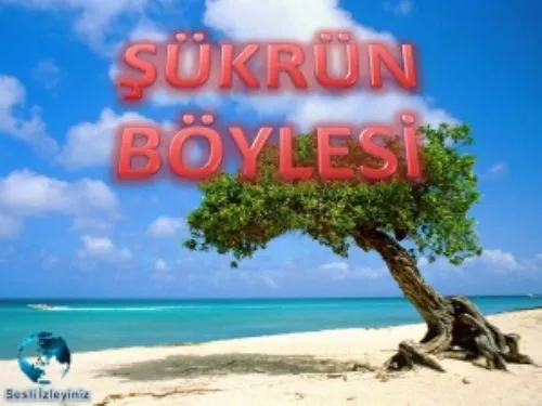 Şükrün Böylesi kapak görseli