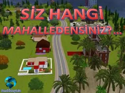 Siz Hangi Mahalledensiniz? kapak görseli