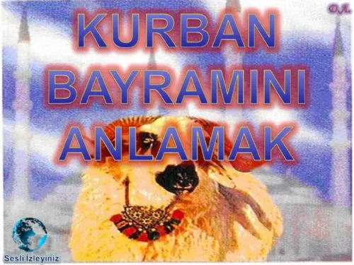 Kurban Bayramını Anlamak kapak görseli