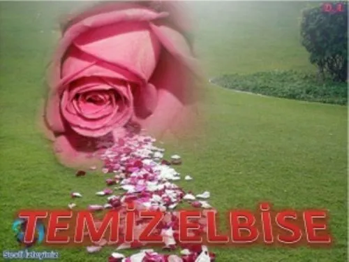 Temiz Elbise kapak görseli