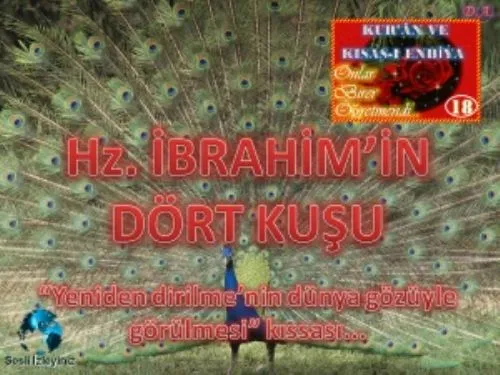 Kur'ân ve Kısas-I Enbiya: 18-Hz.ibrahim'in Dört Kuşu kapak görseli