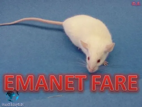 Emanet Fare kapak görseli