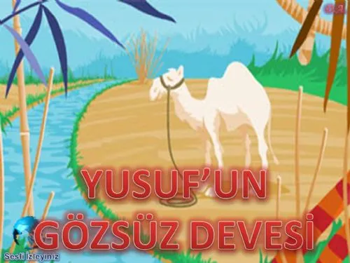 Yusuf’un Gözsüz Devesi kapak görseli