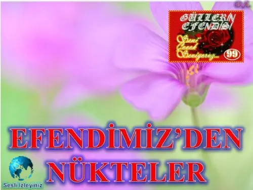Güllerin Efendisi: 101-Efendimizden Nükteler kapak görseli