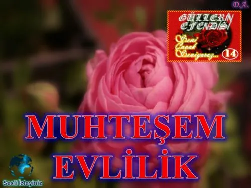 Güllerin Efendisi: 16-Muhteşem Evlilik kapak görseli