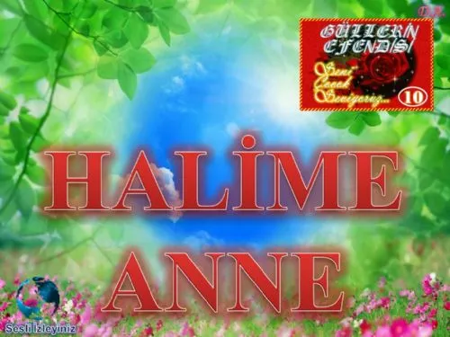 Güllerin Efendisi: 10-Halime Anne kapak görseli