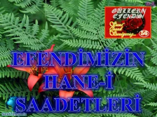 Güllerin Efendisi: 56-Efendimizin Hane-İ Saadetleri kapak görseli