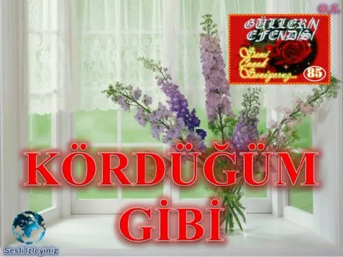 Güllerin Efendisi: 85-Kördüğüm gibi kapak görseli