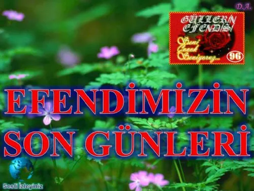 Güllerin Efendisi: 96-Efendimizin Son Günleri kapak görseli