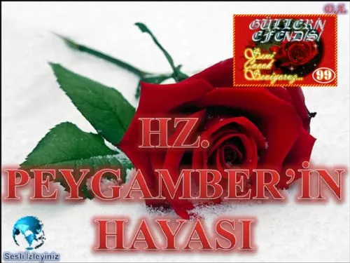 Güllerin Efendisi: 99-Hz. Peygamber’in Hayâsı kapak görseli