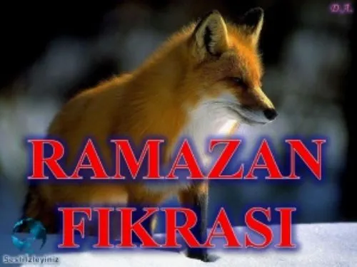 Ramazan Fıkrası kapak görseli