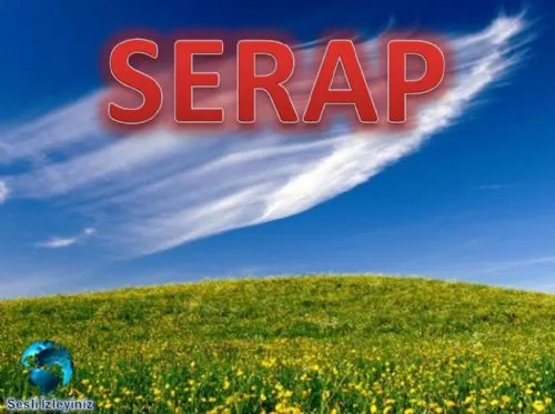 SERAP kapak görseli