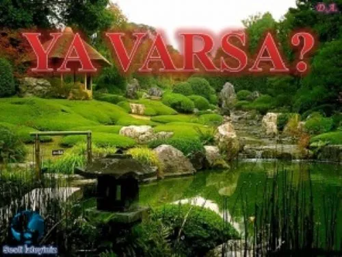 Ya Varsa? kapak görseli