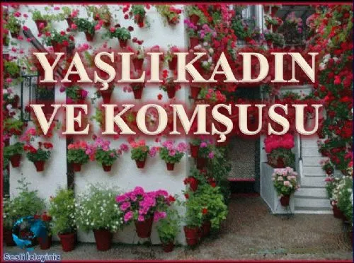Yaşlı Kadın ve Komşusu kapak görseli