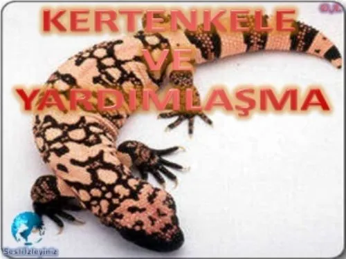 Kertenkele ve Yardımlaşma kapak görseli