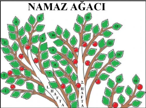 Namaz Ağacı Boyama Kağıdı kapak görseli
