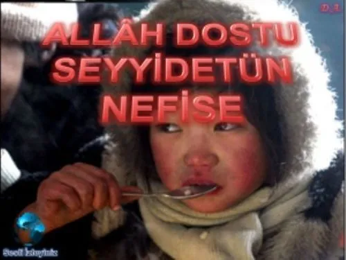 Allah Dostu Seyyidet'ün Nefise kapak görseli