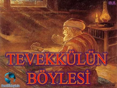 Tevekkülün Böylesi kapak görseli