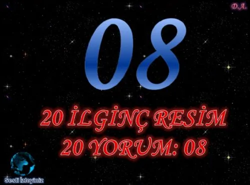 20 İlginç Resim, 20 Yorum:08 (Yeni) kapak görseli