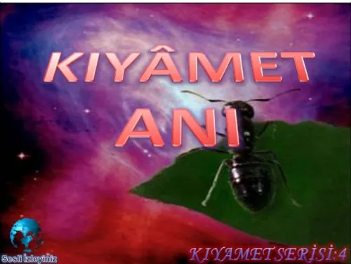 Kıyamet Anı kapak görseli