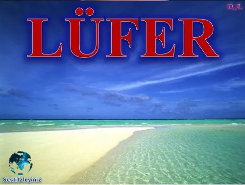 LÜFER kapak görseli