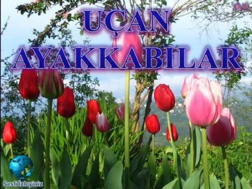 Uçan Ayakkabılar kapak görseli