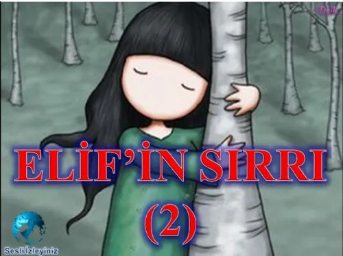Elif’in Sırrı 2 kapak görseli