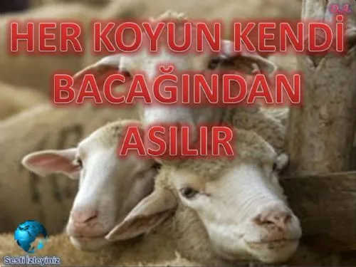 Her Koyun Kendi Bacağından Asılır kapak görseli