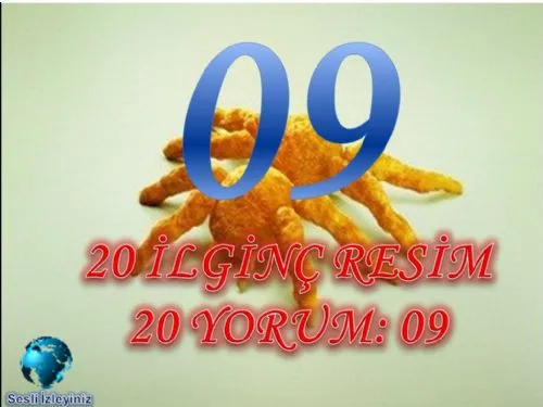 20 İlginç Resim, 20 Yorum:09 (Yeni) kapak görseli