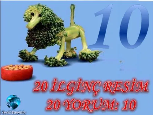 20 İlginç Resim, 20 Yorum:10 (Yeni) kapak görseli
