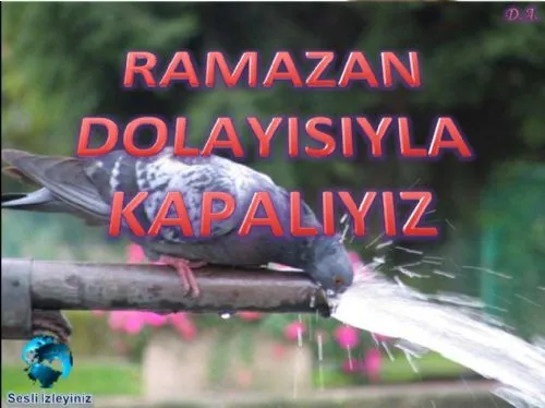 Ramazan Dolayısıyla Kapalıyız! kapak görseli