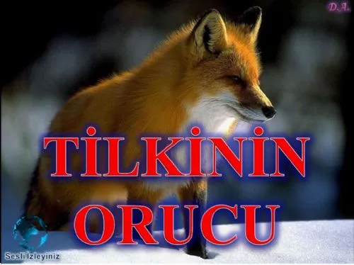 Tilkinin Orucu kapak görseli