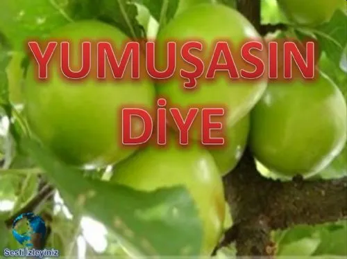 Yumuşasın Diye kapak görseli
