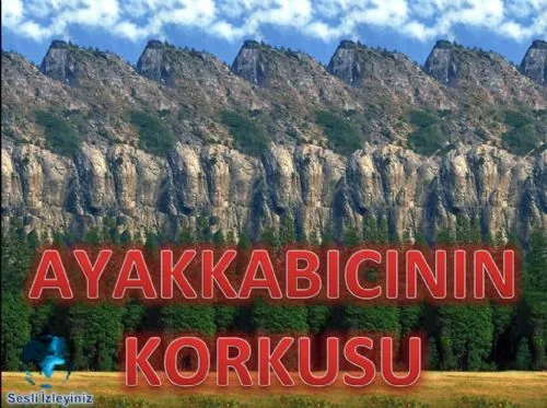 Ayakkabıcının Korkusu kapak görseli