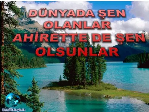 Dünyada Şen Olanlar Ahirette de Şen Olsunlar kapak görseli
