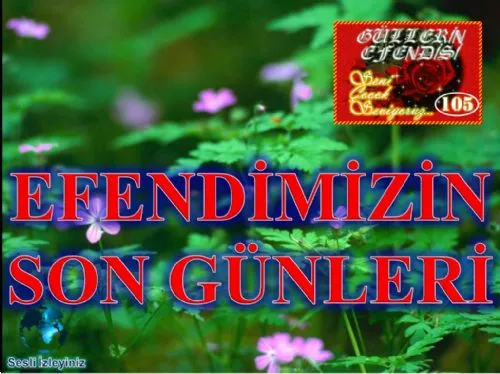 Güllerin Efendisi : 105-Efendimizin Son Günleri kapak görseli