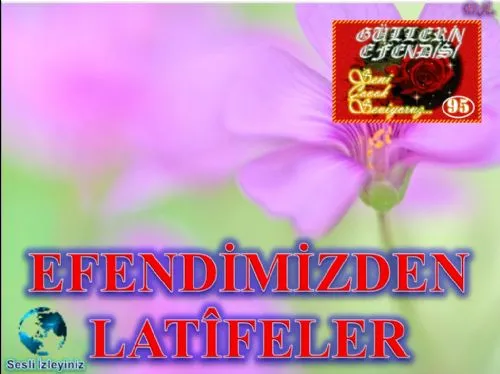 Güllerin Efendisi : 095-Efendimizden Latîfeler kapak görseli