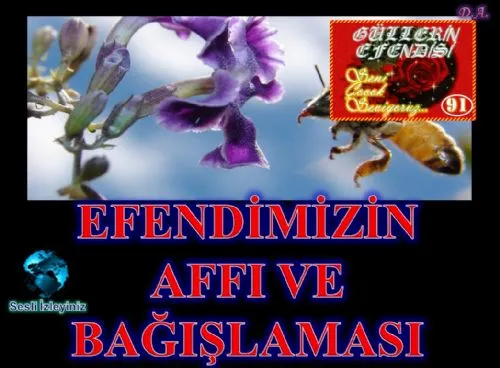 Güllerin Efendisi : 091-Efendimizin Affı ve Bağışlaması kapak görseli