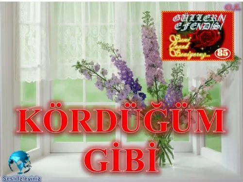 Güllerin Efendisi : 085- Kördüğüm gibi kapak görseli