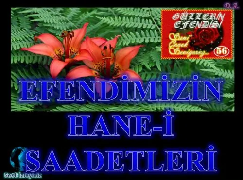 Güllerin Efendisi : 056-Efendimizin Hane-İ Saadetleri kapak görseli