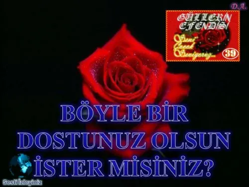 Güllerin Efendisi : 039-Böyle Bir Dostunuz Olsun İster Misiniz? kapak görseli