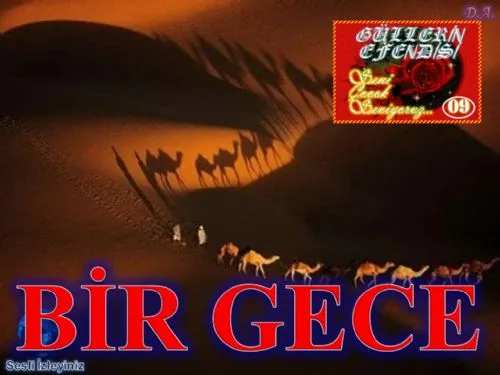 Güllerin Efendisi : 009-Bir Gece kapak görseli