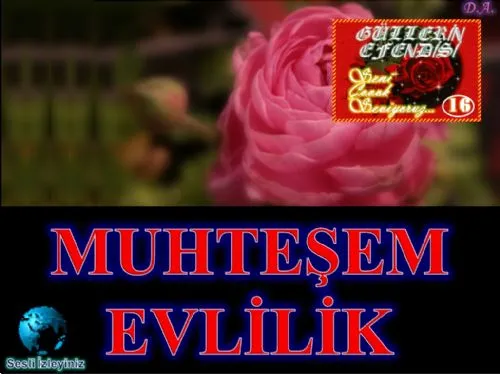 Güllerin Efendisi : 016-Muhteşem Evlilik kapak görseli