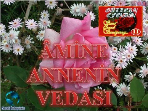 Güllerin Efendisi : 011-Amine Annenin Vedası kapak görseli