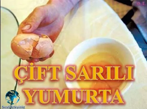 Çift Sarılı Yumurta kapak görseli